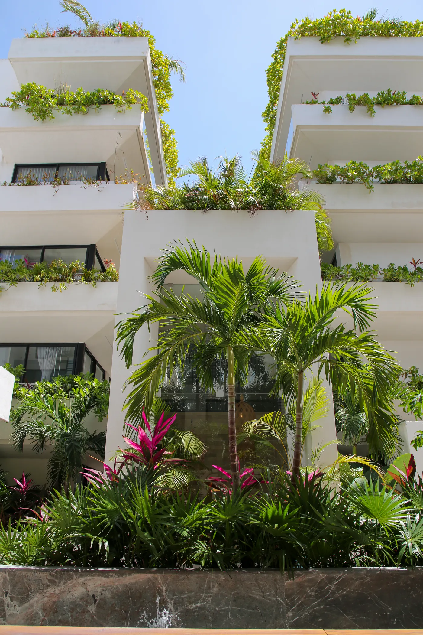 SENSAI DOWNTOWN Playa del Carmen - Imagen 1 - Playa del Carmen