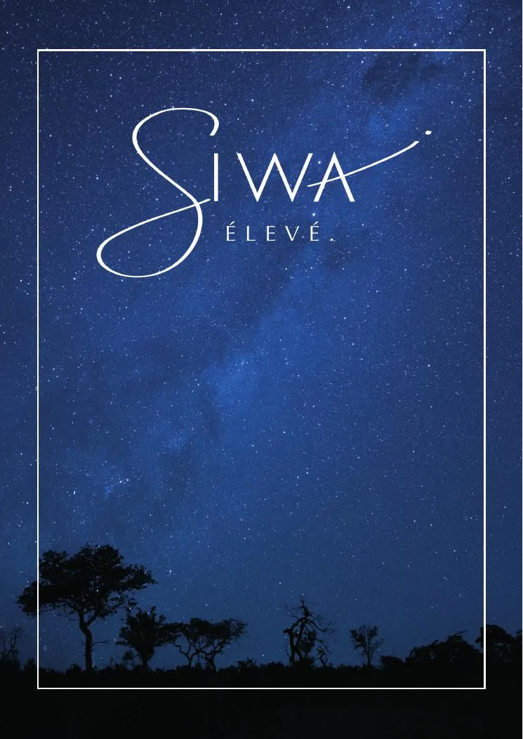 SIWA ÉLEVÉ Tulum - Imagen 1 - Tulum