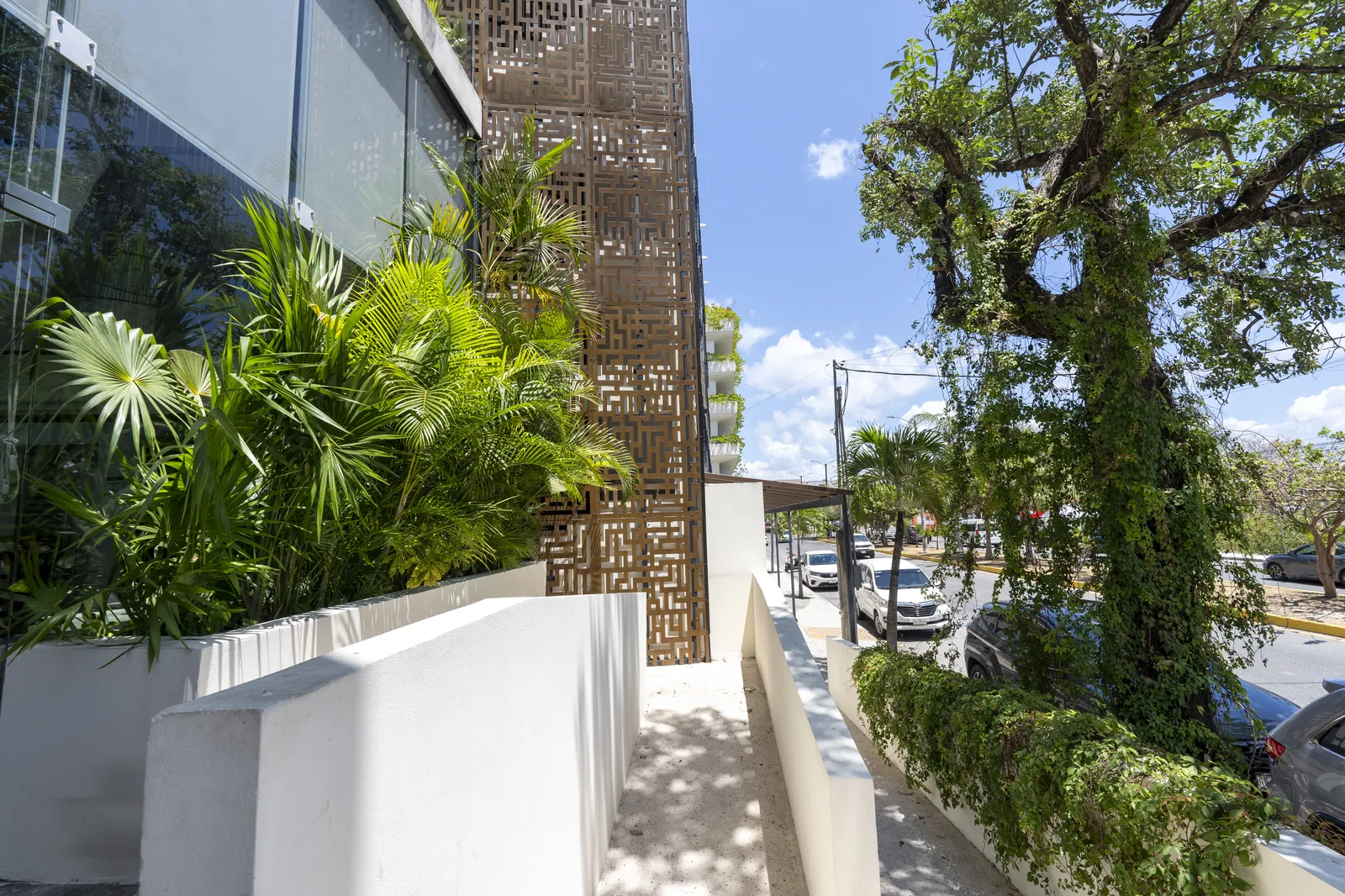 URBAN TOWERS Playa del Carmen - Imagen 6 - Playa del Carmen